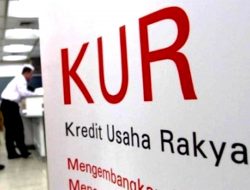 Kredit Usaha Rakyat Rp190 Triliun Ditunggu, Kapan Cair?