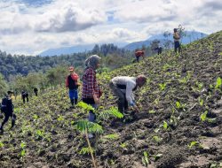 Penghijauan Gunung Suket Bondowoso Harus Dikawal Penegakan Hukum