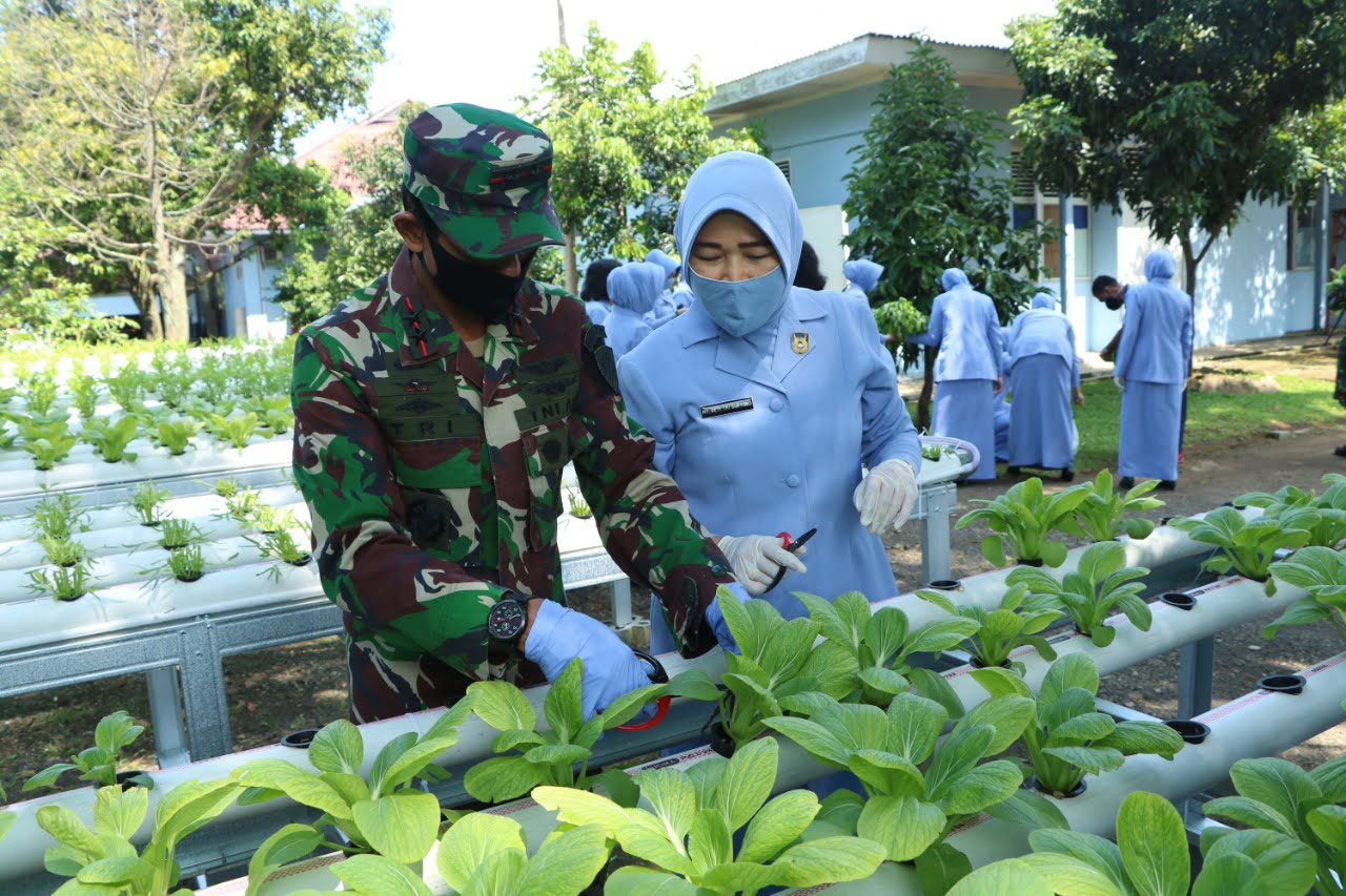 Dankoharmatau Panen Perdana Tanaman Sayur Untuk Jaga Ketahanan Pangan