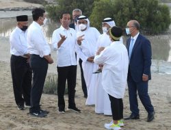 Presiden Jokowi Tanam Mangrove di Abu Dhabi