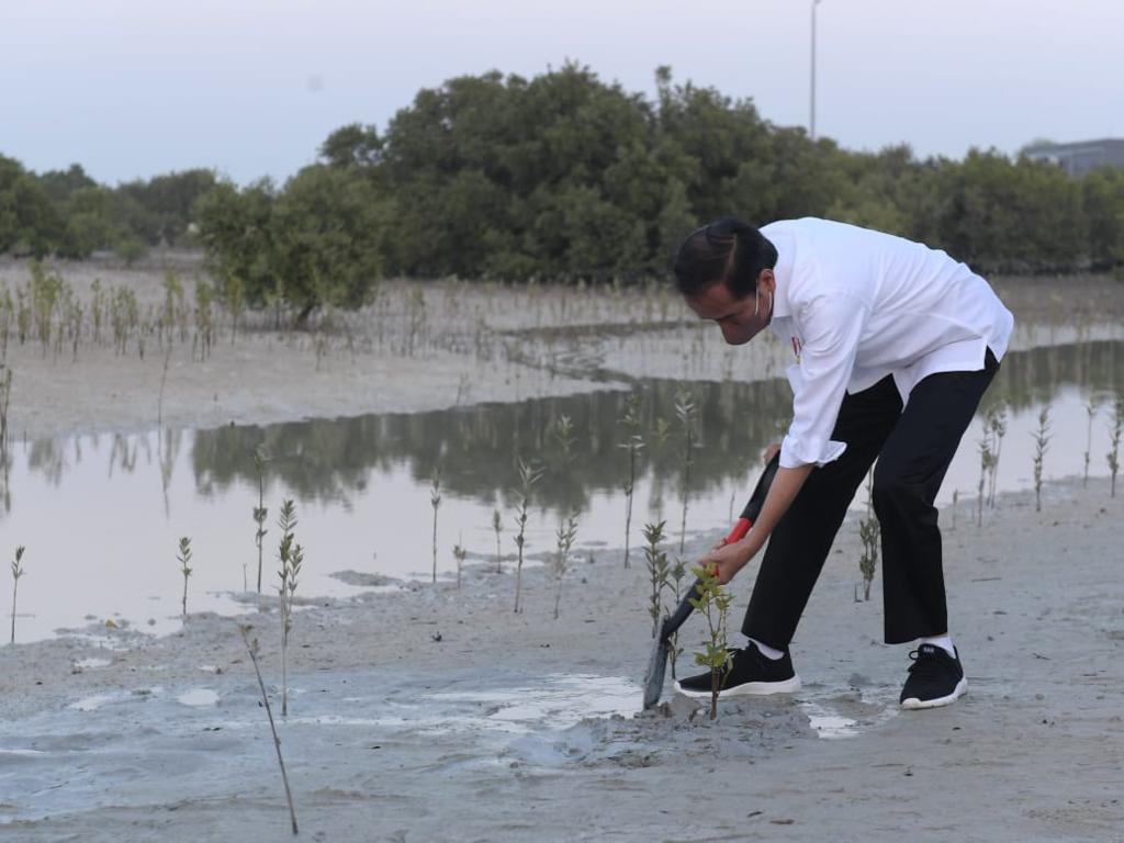 Dok Foto. Biro pers dan media sekretariat presiden