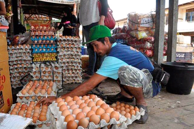 Harga Telur Ayam Turun Pekan Ini