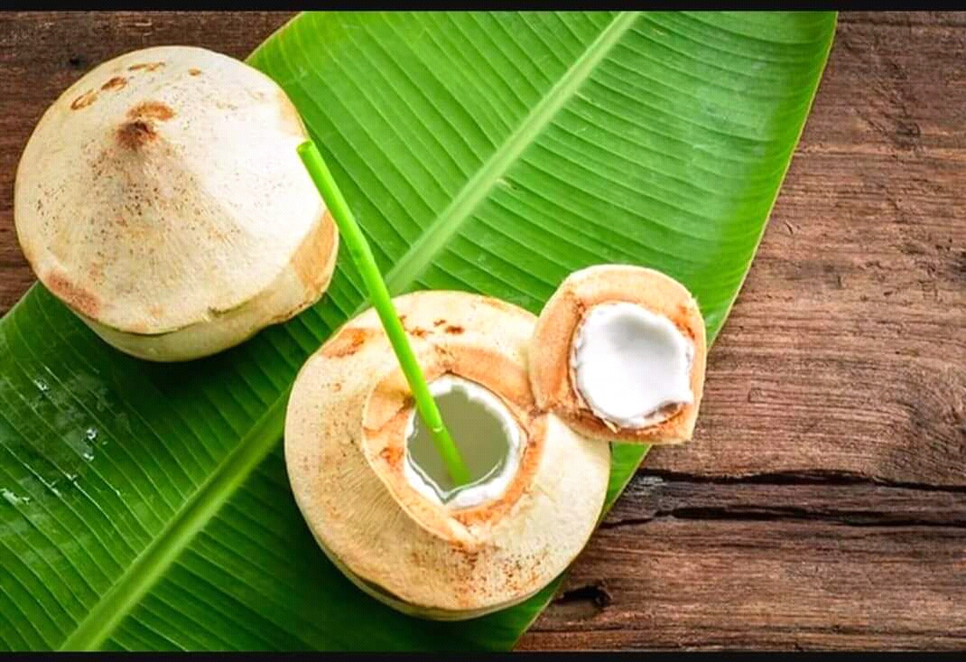 Ternyata Minum Air Kelapa Rebus Lebih Menyehatkan Lho Ternyata Minum Air Kelapa Rebus Lebih Menyehatkan Lho