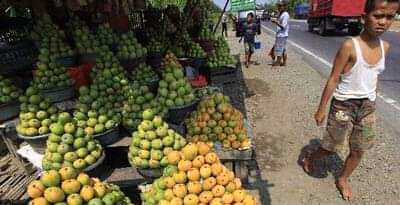 Lebaran, Omzet Pedagang Mangga di Indramayu Bisa Raup 12 Juta Sehari
