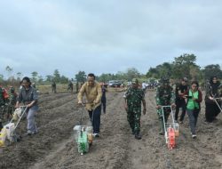 Tingkatkan Ketahanan Pangan, Danrem 174/ATW Merauke Lakukan Terobosan Gandeng BPTPP