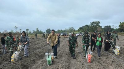 Tingkatkan Ketahanan Pangan, Danrem 174/ATW Merauke Lakukan Terobosan Gandeng BPTPP