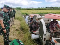 Dukung Upaya Swasembada Beras dan Ketahanan Pangan, Pangkogabwilhan III Bertemu Para Poktani di Merauke