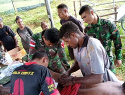 Tragis… Masyarakat Luka-luka Diserang Babi Hutan, Satgas Yonif 126/KC Berikan Pertolongan