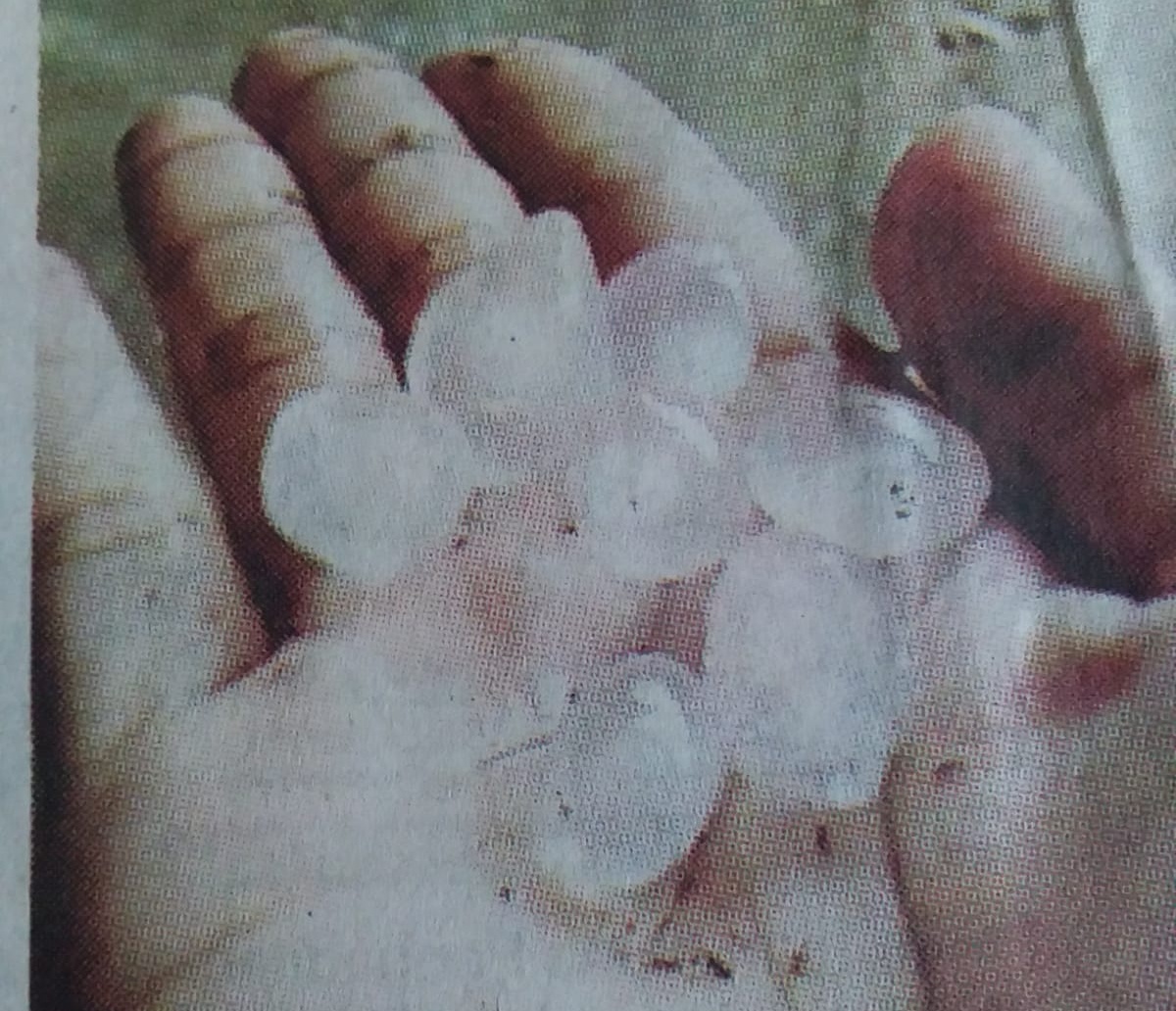 Fenomena Jarang Terjadi,Hujan Es di Desa Sinar Kedaton