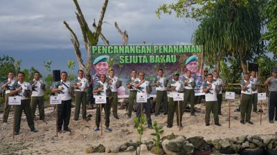 Kodam Kasuari Tanami Pohon Bakau: Selamatkan Pulau Raimuti dari Abrasi