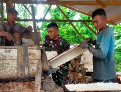 Peduli Kesejahteraan Warga, Satgas Yonarmed 1 Kostrad Bantu Mengolah Sagu di Negeri Laha