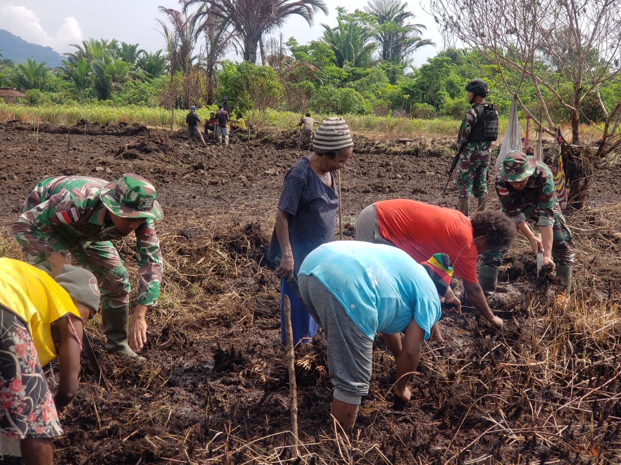 Menjaga Ketahanan Pangan di Perbatasan Papua, Satgas Yonif 126/KC Bantu Masyarakat Membuka Lahan