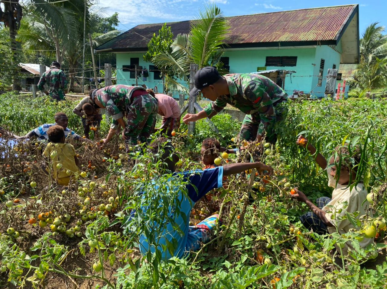 Nikmati Hasil Kebun, Satgas Yonif 126/KC Ajak Anak-anak Panen dan Bagikan Hasil Panen