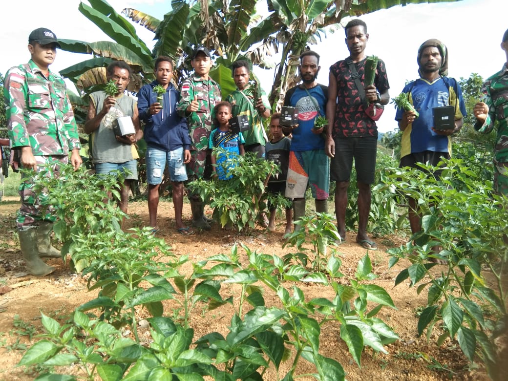 Manfaatkan Lahan Tidur, Satgas Yonif 126/Kala Cakti Berikan Sosialisasi Cara Menanam dan Berkebun Cabai Di Perbatasan Papua