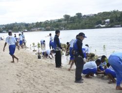 Kodam XVIII/Kasuari Gandeng SMA Taruna Kasuari Nusantara Tanami Bibit Mangrove