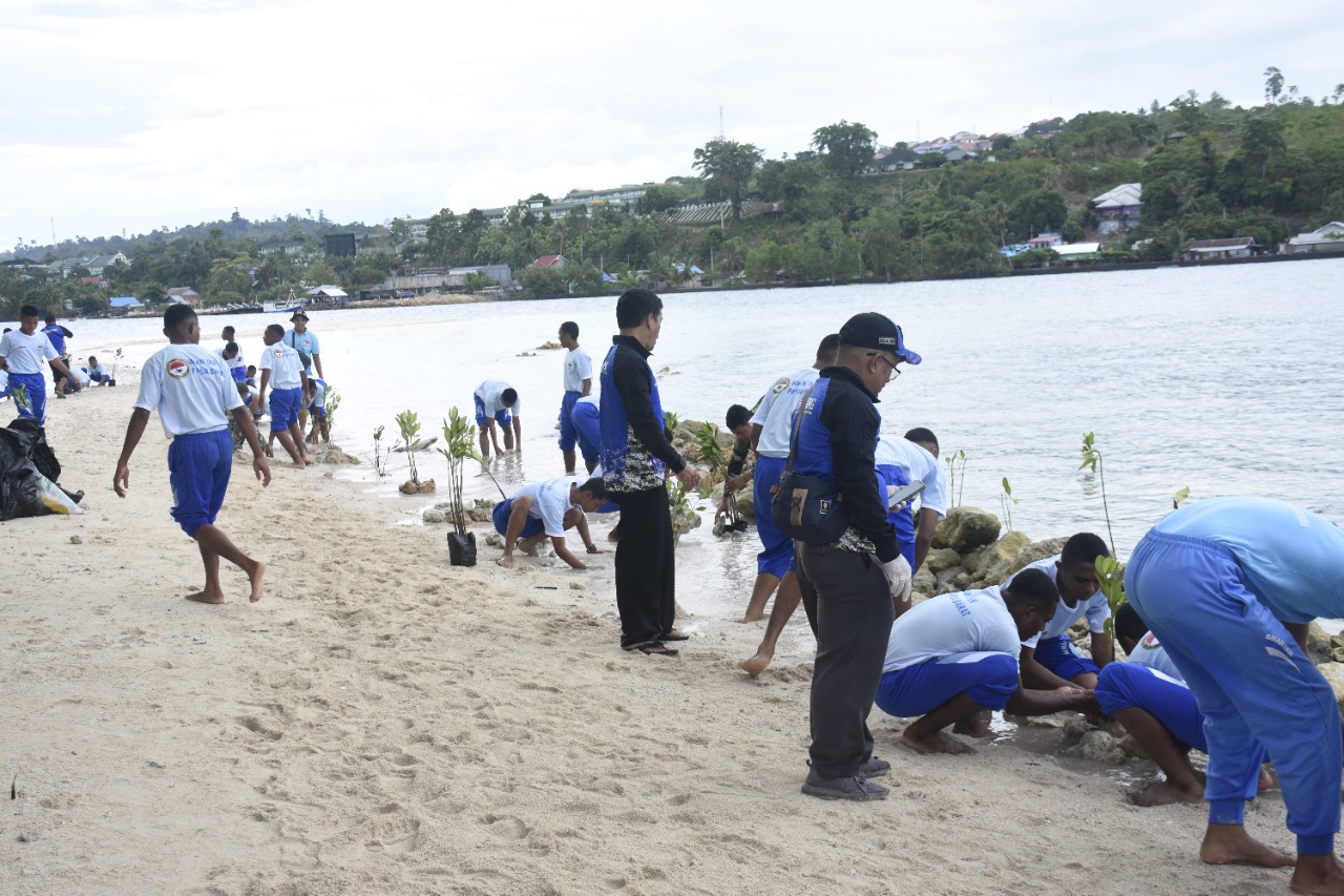 Kodam XVIII/Kasuari Gandeng SMA Taruna Kasuari Nusantara Tanami Bibit Mangrove