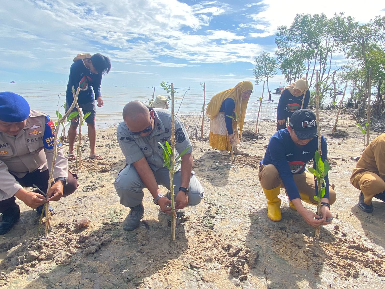 Stasiun Bakamla Babel Tanam 3000 Batang Mangrove di Pantai Batu Belubang