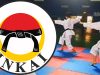 Ketum Pengurus Pusat INKAI: Karateka INKAI Dominasi Perolehan Medali Kejuaraan Internasional Karate WKF