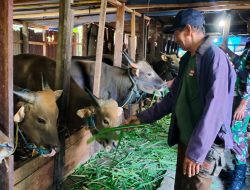 Mempererat Silaturahmi, Babinsa Koramil 1710-02/Timika Laksanakan Anjangsana Ke Wilayah Binaan