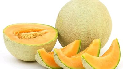 Mau Tau Inovasi Dekan UGM Perkecil Buah Melon? Simak Disini