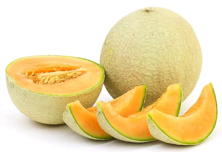 Mau Tau Inovasi Dekan UGM Perkecil Buah Melon? Simak Disini