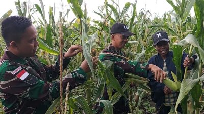 Peduli Sesama, Satgas Yonif 143/TWEJ Beli Hasil Panen Warga di Tapal Batas Papua