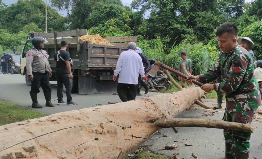 Aksi Sigap Warga Bersama Satgas Yonif 143/TWEJ Lakukan Bersihkan Pohon Tumbang