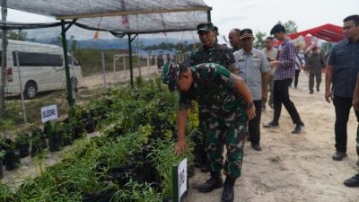 Kasad Letakkan Batu Pertama Pembangunan Kandang Sapi Korem 143/HO