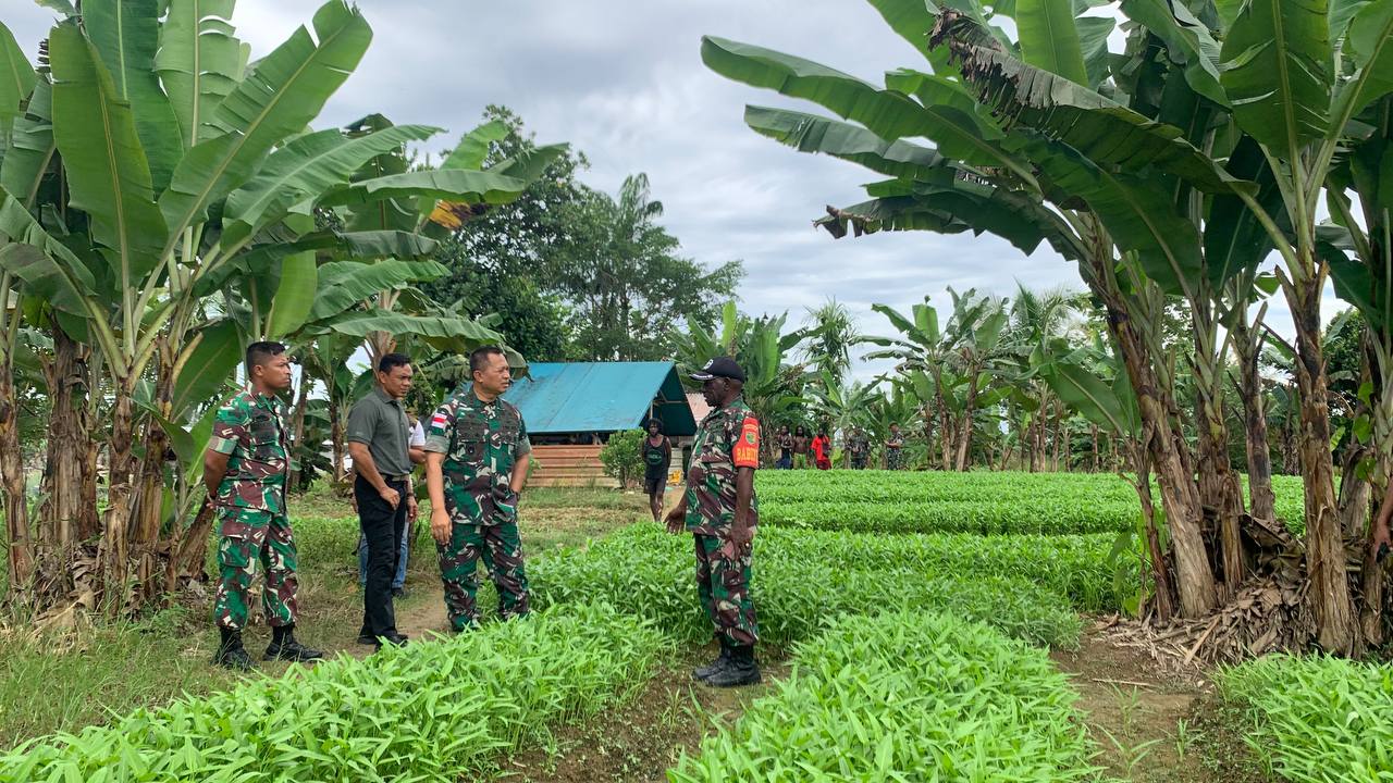 Dandim 1710/Mimika Dampingi Danrem 174/ATW Saat Tinjau Lahan Kebun Pisang dan Sayuran