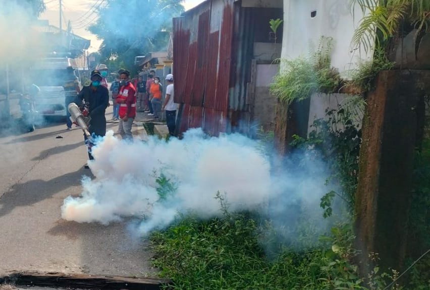 Waspada Demam Berdarah, Babinsa Koramil 1710-02/Timika Lakukan Fogging DBD Bersama Tim dari Dinas Kesehatan