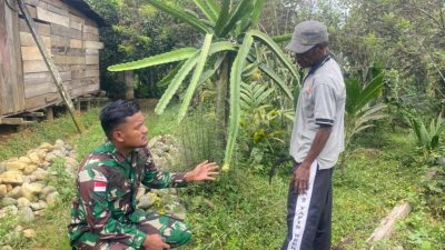 Kebun Buah Naga Milik Warga Tidak Berbuah, Satgas Yonif 143/TWEJ Hadir Berikan Solusi