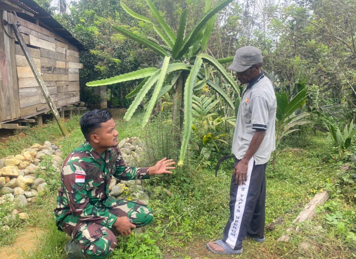 Kebun Buah Naga Milik Warga Tidak Berbuah, Satgas Yonif 143/TWEJ Hadir Berikan Solusi