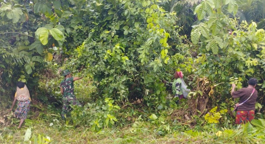 Sehat Terhindar Malaria: Satgas Yonif 143/TWEJ Bersama Masyarakat Bersihkan Semak Belukar Pedalaman Papua