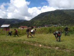 Bersama Masyarakat Babinsa Koramil Jila Karya Bakti Bersihkan Lingkungan Sekolah