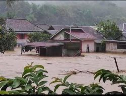 Bencana Alam Banjir Bandang di Sumatera Selatan