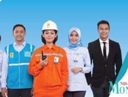 Pendaftarannya Lowongan Kerja PLN  untuk Diaspora hingga 17 Juli 2023