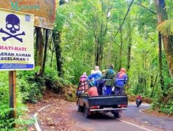 Uji Nyali Menembus Angkernya Jalur Alas Gumitir, Sereemm!